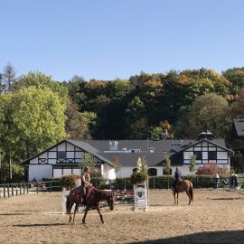 EXPLORE DWORZYSKO